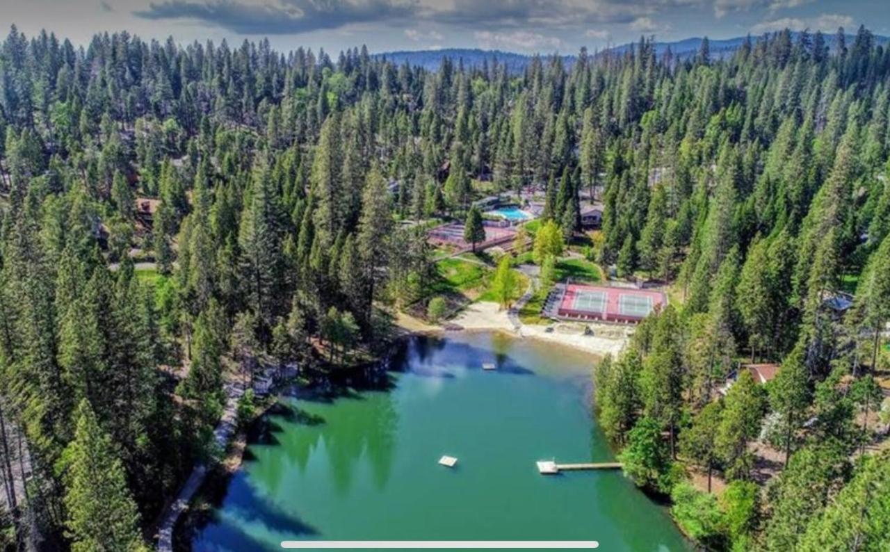 Bearvista Villa Арнолд Екстериор снимка