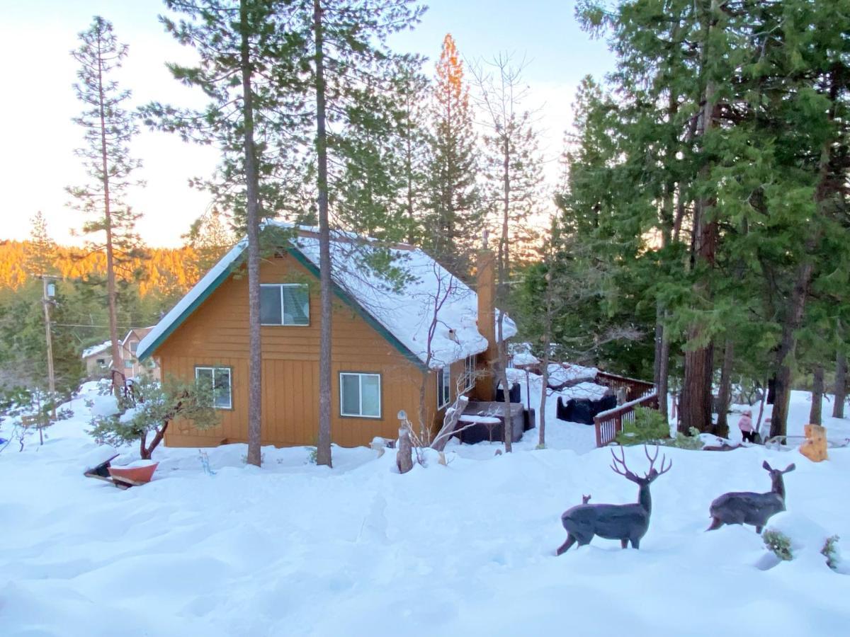 Bearvista Villa Арнолд Екстериор снимка
